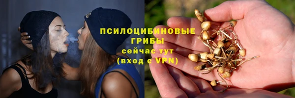 MDMA Новодвинск