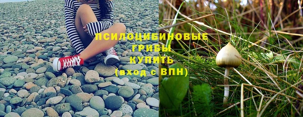 мдпв Новокубанск