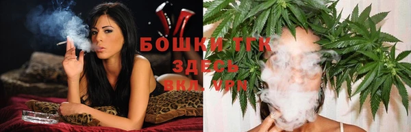 2c-b Новозыбков