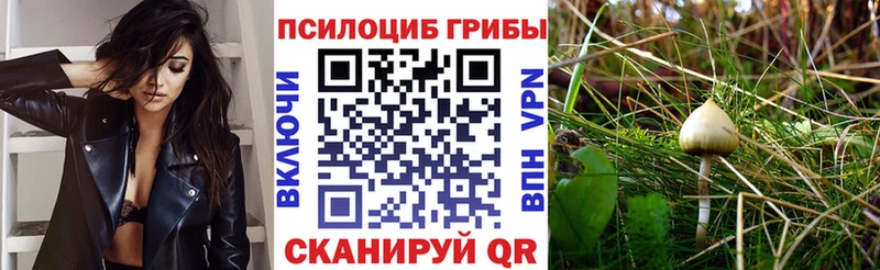 Псилоцибиновые грибы прущие грибы  Озёры 